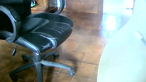 Tobiko online show from 12/20/25, 02:24