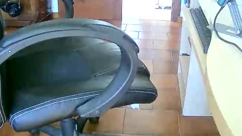 Snapshot of tobikoyuzu chatting on 02/17/26, 03:29 Tobiko online show from 02/17/26, 03:29