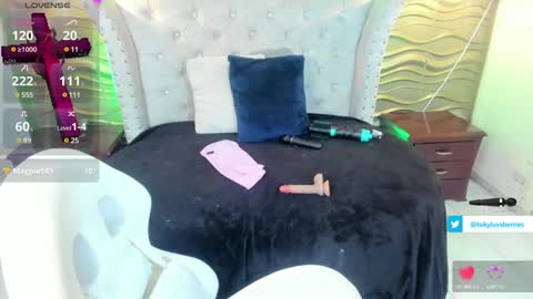 toky         online show from 02/04/25, 09:20