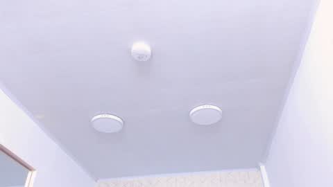 Tokyo  online show from 12/21/24, 01:10