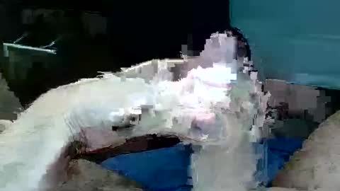 tom4yourself online show from 05/29/26, 06:17