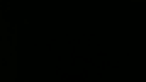 Snapshot of tomandjudy chatting on 11/16/25, 09:20 Bear and Chaw online show from 11/16/25, 09:20