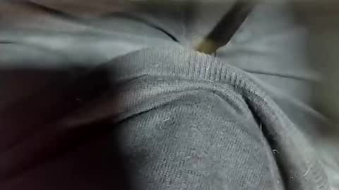 Tomas online show from 02/12/25, 10:37