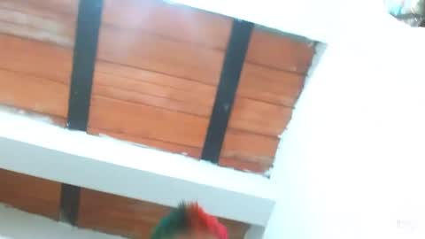 Blue online show from 03/03/25, 09:26