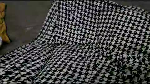 Bima online show from 09/24/25, 08:45