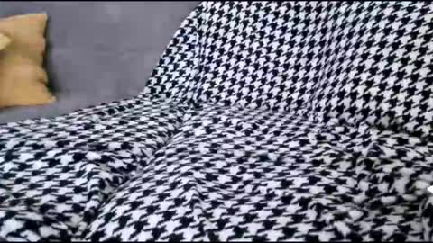 Bima online show from 10/17/25, 09:01