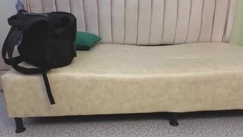 Tomas online show from 03/29/26, 08:03