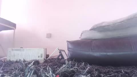 Snapshot of tommy_c0rtez chatting on 02/26/26, 06:07 Thomas online show from 02/26/26, 06:07