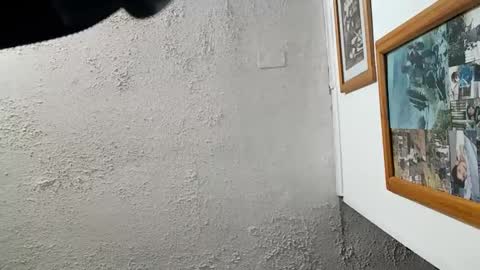 Tommy online show from 11/23/25, 08:14