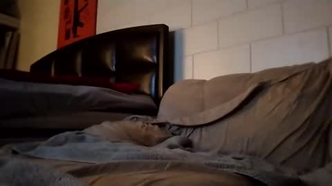 tomthebomb347 online show from 09/14/25, 10:20