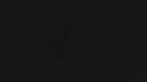 tomylela online show from 12/01/25, 07:46