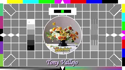 Snapshot of tony_vallejo chatting on 10/14/25, 09:54 Tony V online show from 10/14/25, 09:54