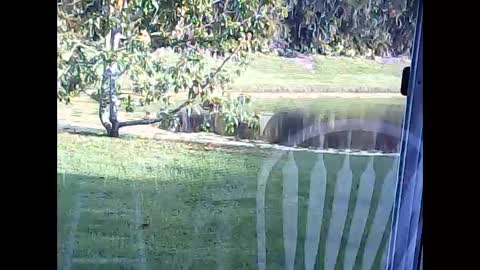 tonymcfly99 online show from 02/21/25, 09:43