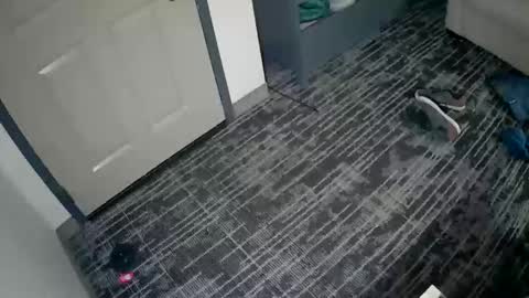 toomuchsmoke online show from 10/03/25, 03:58