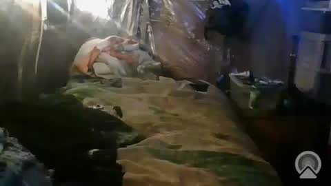 tootall1991420 online show from 10/26/25, 01:06