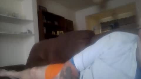 topfoxs30 online show from 03/23/26, 04:55