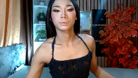 toptrans venice online show from 02/22/26, 03:07