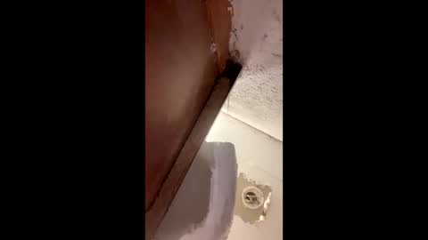 toronto5656 online show from 01/12/25, 04:00