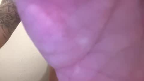 toronto5656 online show from 02/01/25, 05:07