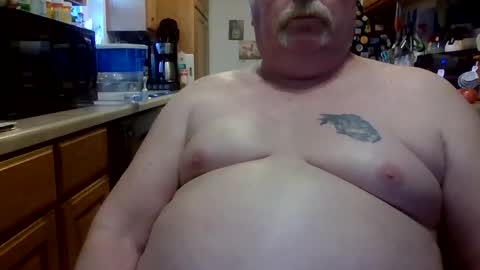 torture meplease online show from 02/11/25, 09:14