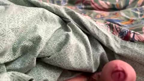 tos12345 online show from 11/21/25, 12:15