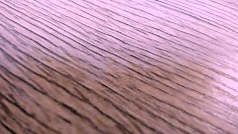 toshi_dakxxx online show from 04/02/26, 01:31