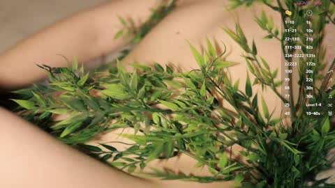 Toshi online show from 04/05/26, 01:08