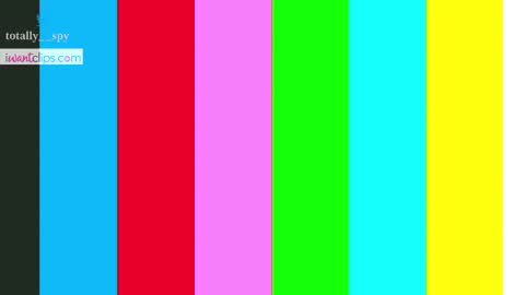 Snapshot of totally_spy chatting on 03/03/25, 06:55 Madam Viktoria Vacation in Portugal 2811 - 0412 online show from 03/03/25, 06:55