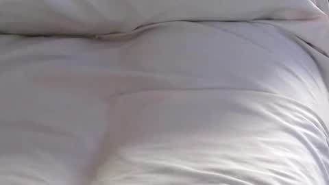 Snapshot of touchmerighthere chatting on 01/31/25, 05:21 Jim online show from 01/31/25, 05:21