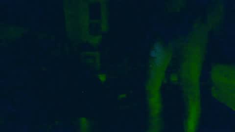 toxicidad_sex online show from 06/04/26, 09:48