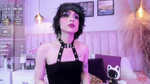 Tracy  online show from 04/07/26, 08:53