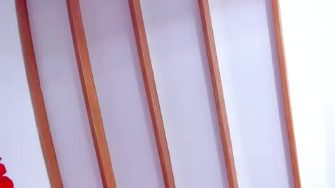 Tracy Wright online show from 02/13/26, 12:28