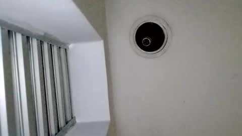 TradicionCanera23cm online show from 03/01/26, 11:01