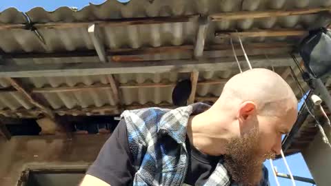 Tralalabala online show from 03/03/26, 11:49