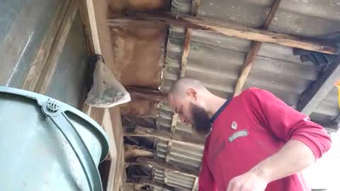 Tralalabala online show from 03/05/26, 12:01