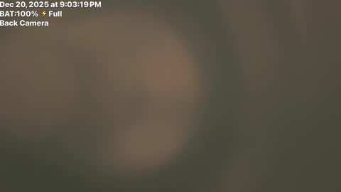 Fembttom online show from 12/21/25, 03:02