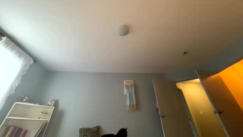 transgirl007 online show from 05/24/26, 10:04