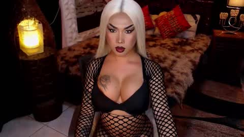 transpornidol online show from 02/04/26, 08:53