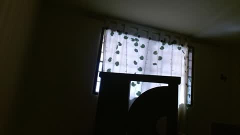 trebol_4 online show from 05/21/26, 02:57
