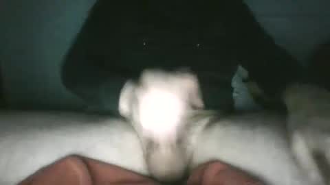 trekkertje666 online show from 01/25/25, 08:00