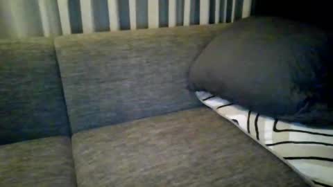 triciawu22 online show from 12/08/24, 01:36