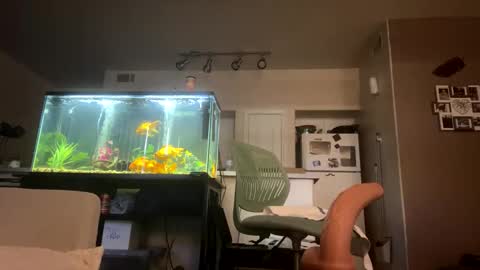 trickydick6 online show from 03/20/26, 08:35