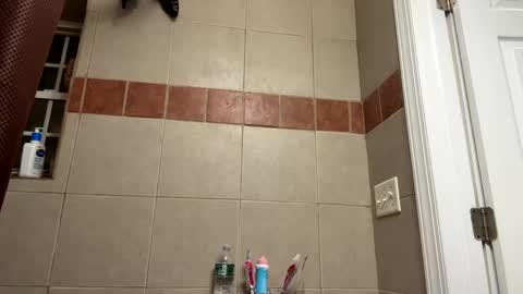 WapBopper online show from 02/11/25, 12:06