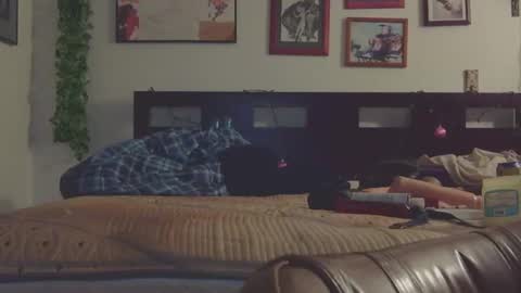 Trina Tushy Deluxe online show from 03/09/25, 06:28