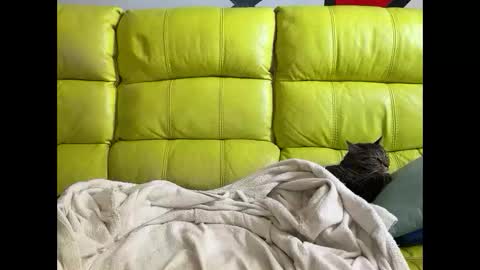 Ramiro online show from 04/03/26, 11:41