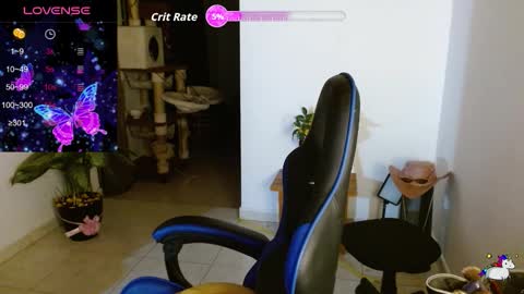 Kitty online show from 03/04/26, 01:33