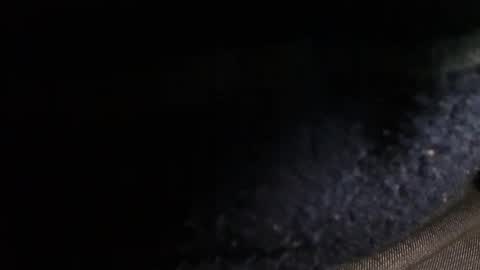 trobelle online show from 12/20/24, 02:49