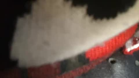 trobelle online show from 12/26/24, 01:43