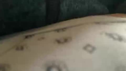 trobelle online show from 11/25/25, 10:37