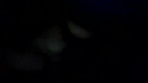 Snapshot of troi1 chatting on 01/16/25, 01:06 troi1 online show from 01/16/25, 01:06